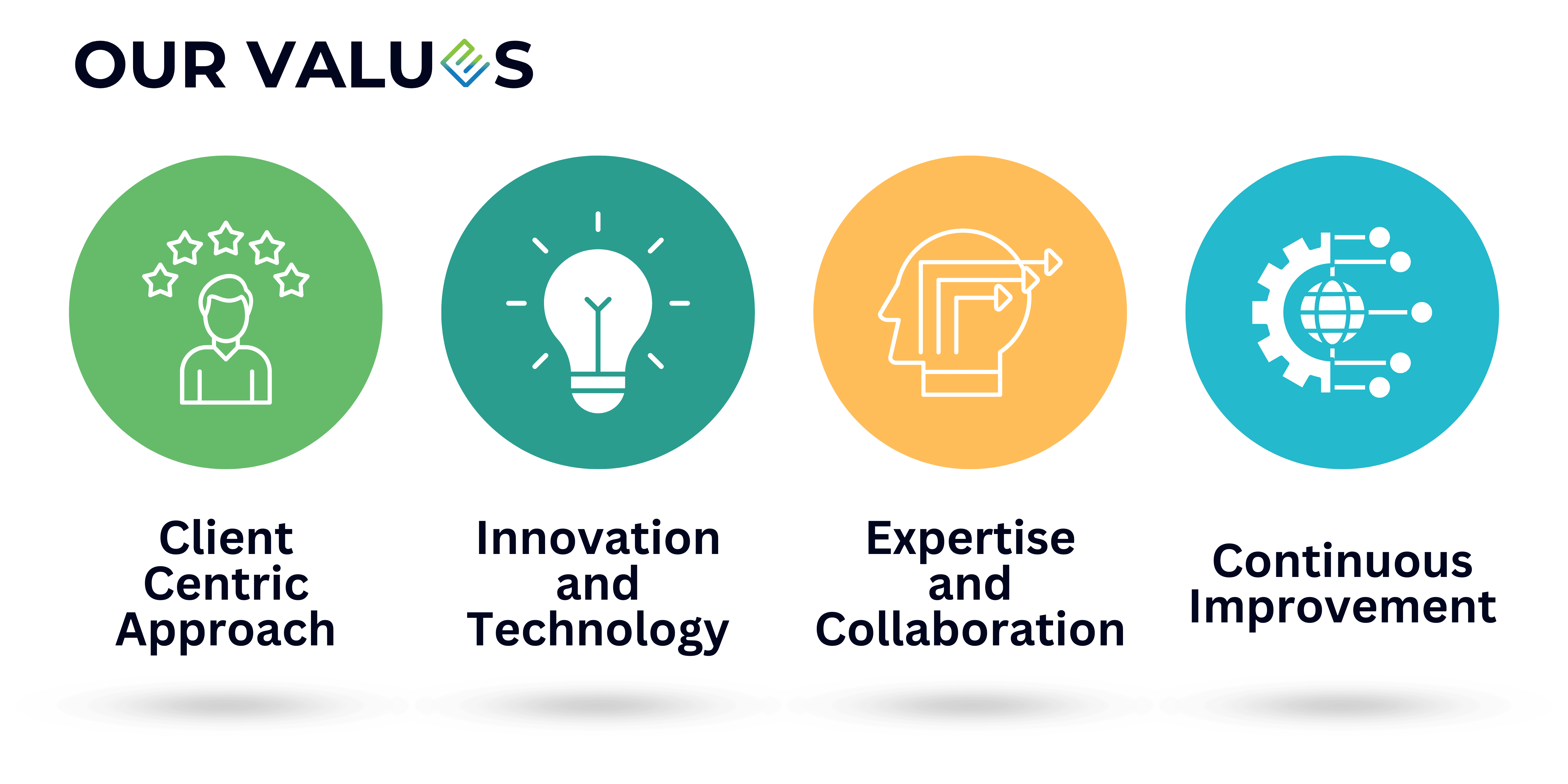 Coverage Solutions Values Pic